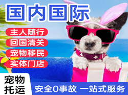 通辽空运代理国际宠物托运 【国